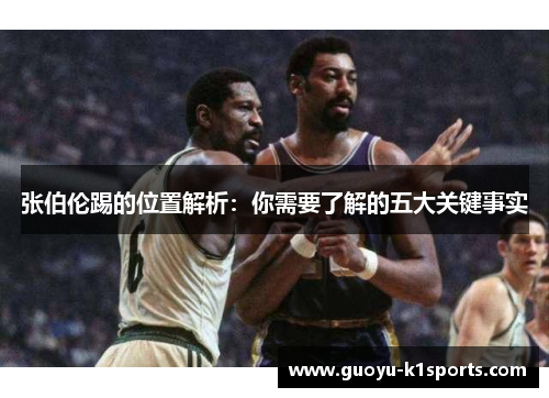 张伯伦踢的位置解析：你需要了解的五大关键事实