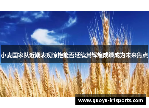 小麦国家队近期表现惊艳能否延续其辉煌成绩成为未来焦点 小麦国家队近期表现惊艳能否延续其辉煌成绩成为未来焦点