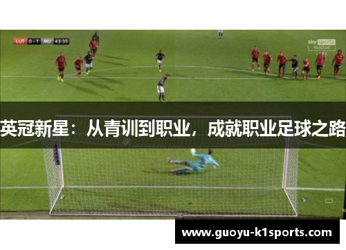 英冠新星：从青训到职业，成就职业足球之路
